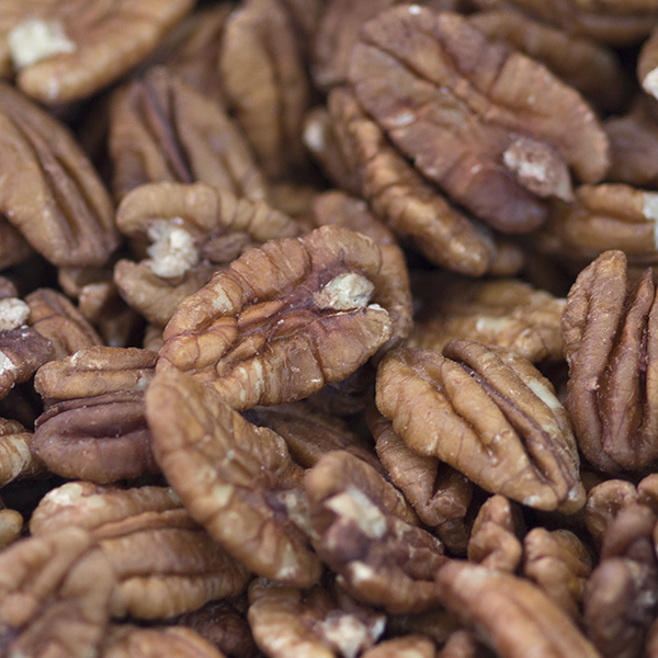 National Pecan Sandy Day