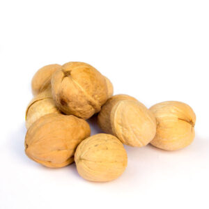 Kreeka pähkel koores (USA) – sort 2.